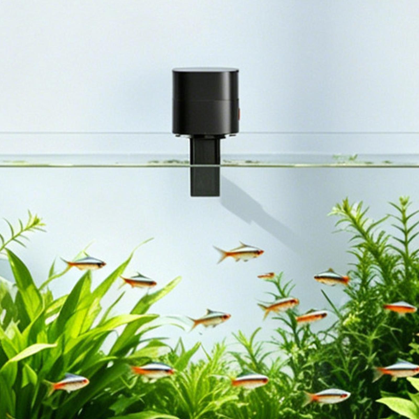 자동 물고기 급식기 자동 타입-C 충전식 디스펜서 어항 - Fishing Line Dispenser 리뷰 및 가격